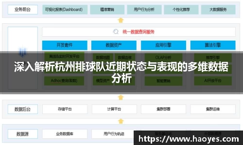 深入解析杭州排球队近期状态与表现的多维数据分析