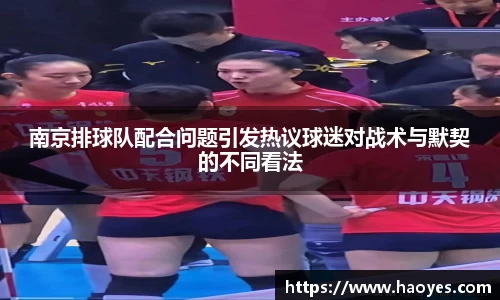 南京排球队配合问题引发热议球迷对战术与默契的不同看法