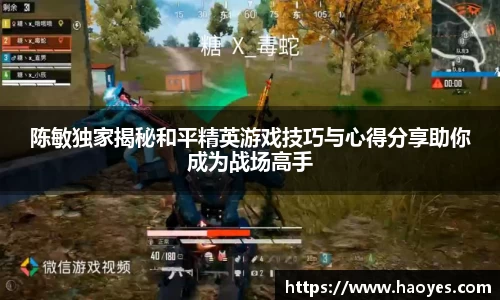 陈敏独家揭秘和平精英游戏技巧与心得分享助你成为战场高手