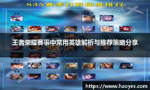 王者荣耀赛事中常用英雄解析与推荐策略分享