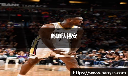 鹈鹕队锡安