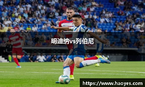 明迪纳vs列伯尼