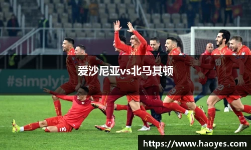 爱沙尼亚vs北马其顿