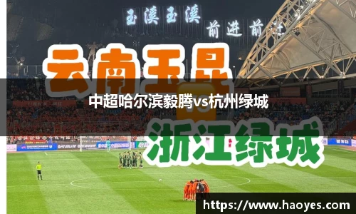 中超哈尔滨毅腾vs杭州绿城