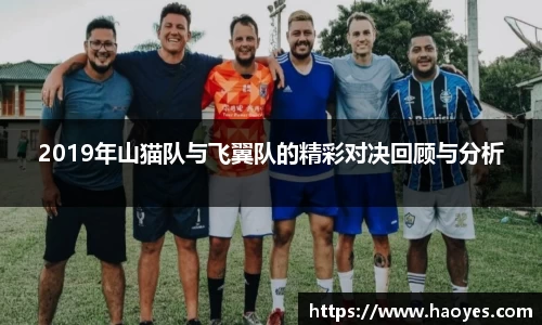 2019年山猫队与飞翼队的精彩对决回顾与分析